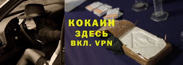 кокс Алексин
